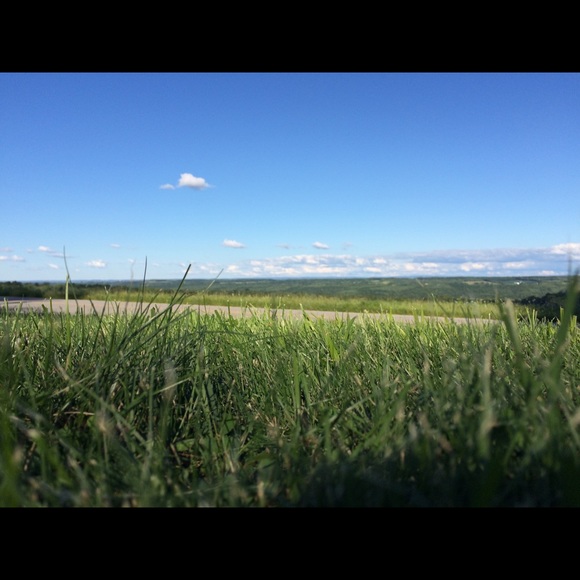 Meet your Posher, Rebecca - Picture 1 of 1